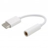 Adaptador USB C a Plug 3.5mm Audio