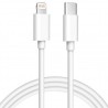 Cable Lightning a USB C 1 Metro